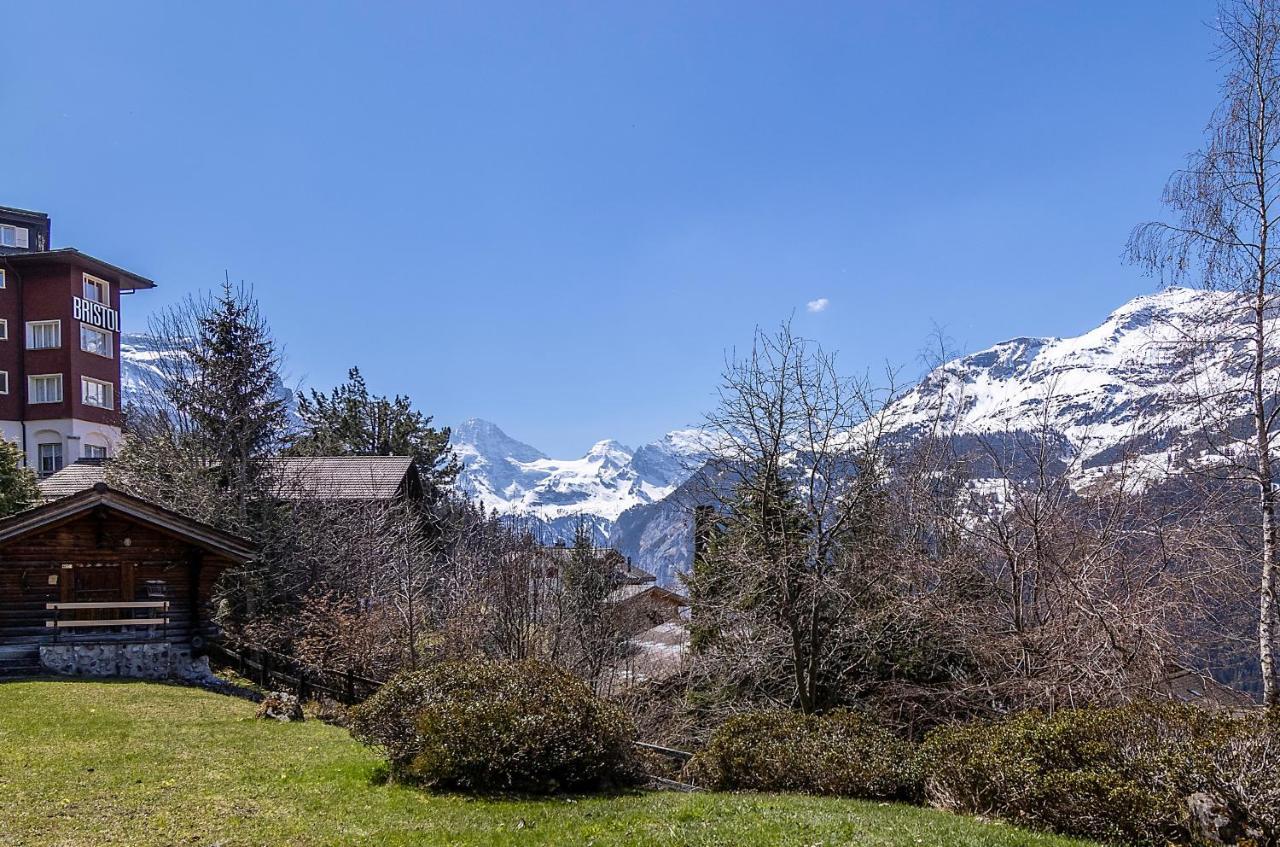 Chalet Steingärtli 1 Wengen Exterior foto